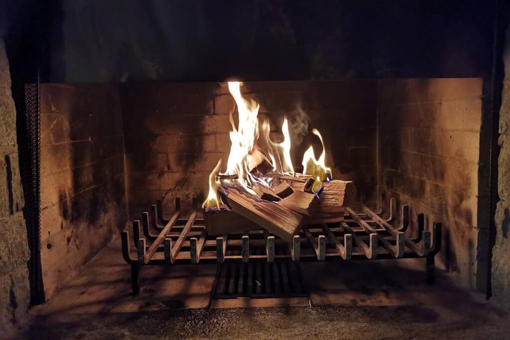 Ferienwohnung In Trin Esterno foto